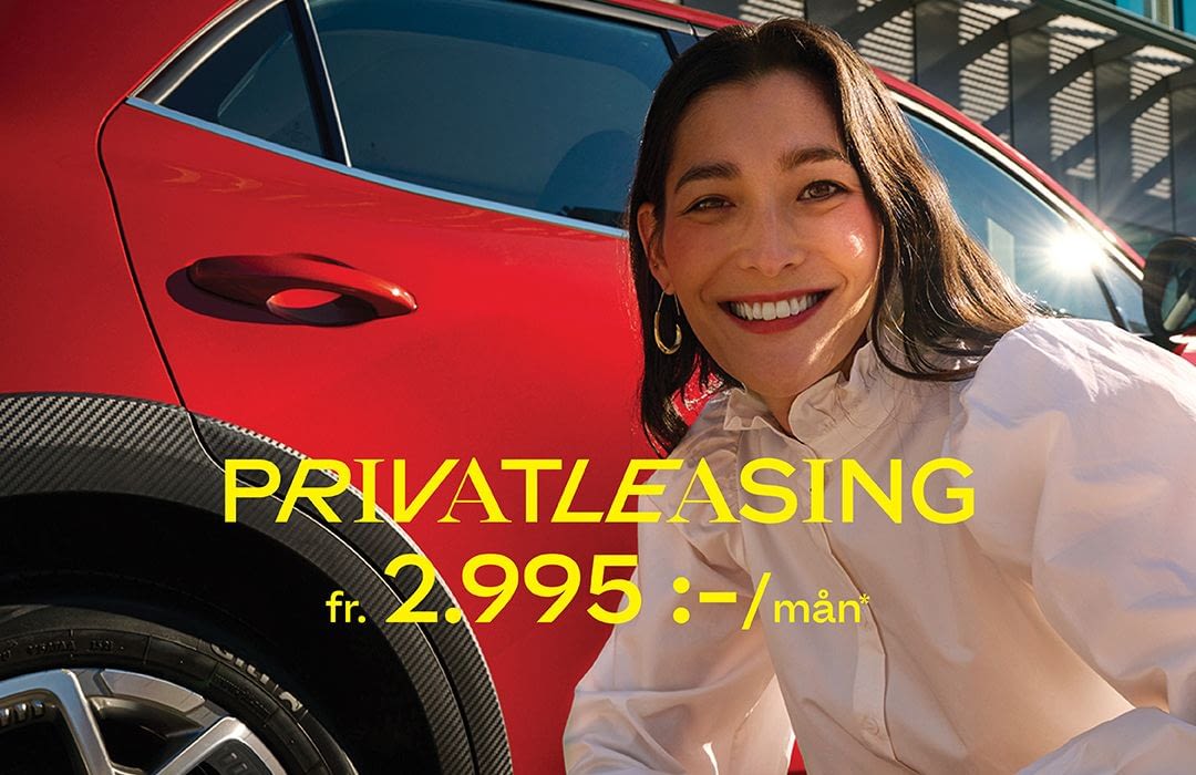 Ora Elbil - Privatleasing 2995 - Landrins Bil – 4