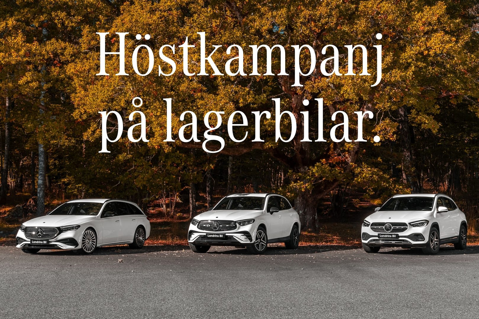 Höstkampanj - Lagerbilar - Landrins Bil – 6