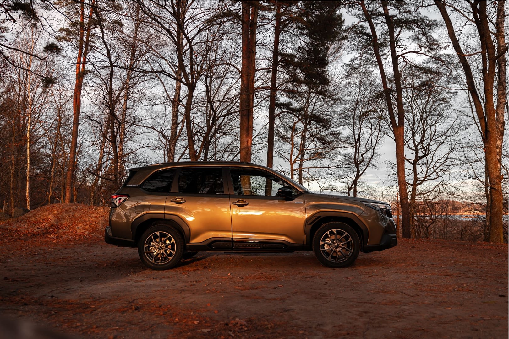 Subaru Forester 2024 - Landrins Bil 1 – 14