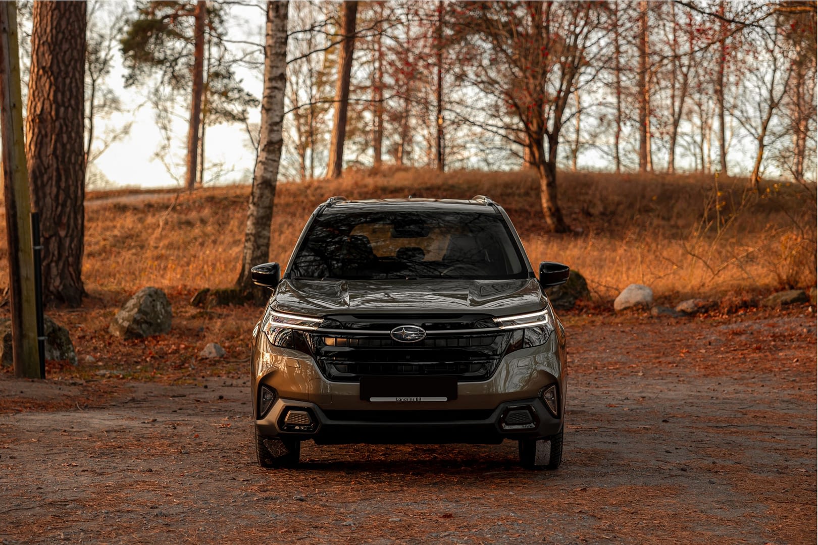 Subaru Forester 2024 - Landrins Bil 1 – 9