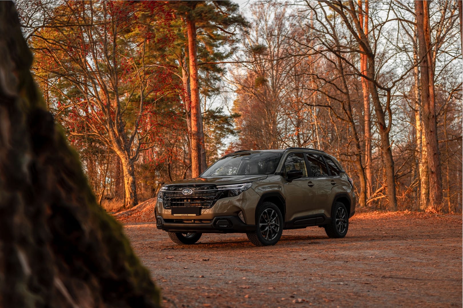 Subaru Forester 2024 - Landrins Bil 1 – 7