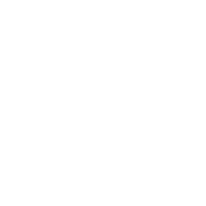 MB Stjärna Vit Landrins Bil – 1