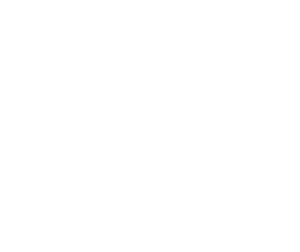 Nissan Logo Vit